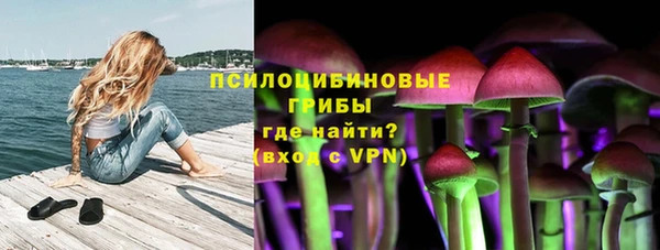 прущие грибы Балабаново
