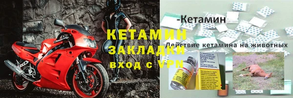прущие грибы Балабаново